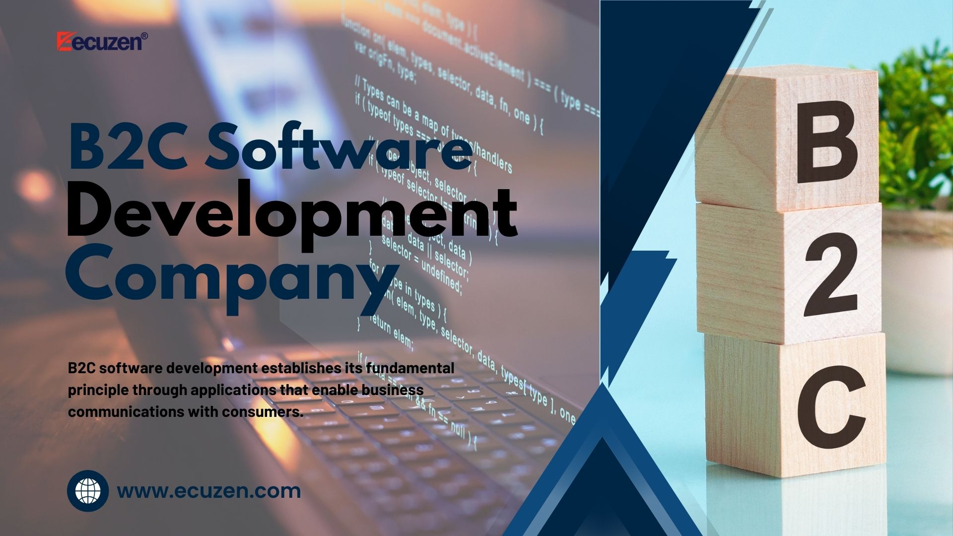 how to choose the top b2c software development provider company for your business