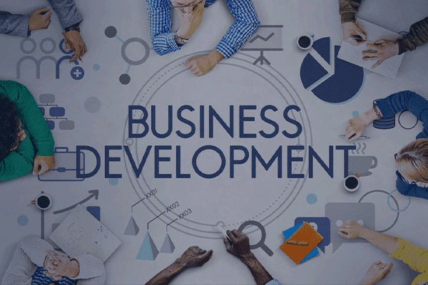 business development service